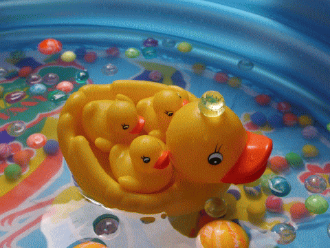pool3