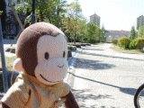 a9d283bd.gif