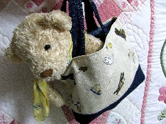 risagasbag2