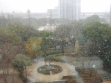 snow