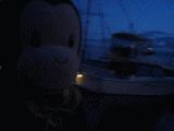 yacht1