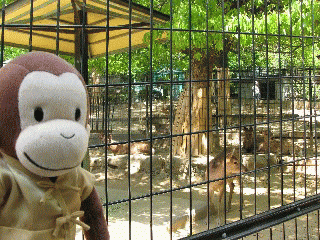 zoo