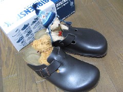 birken