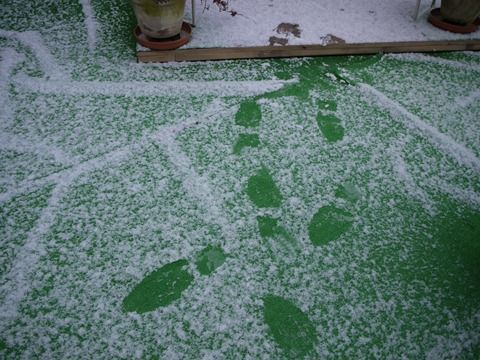 snow4