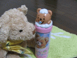 shampoo2