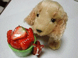 d9ff1498.gif