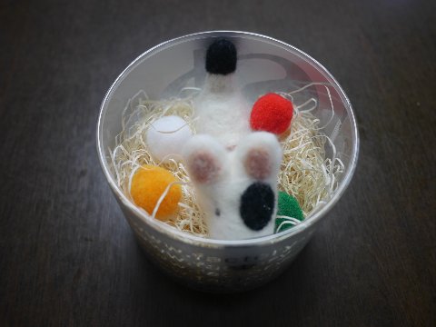 kowanko_180427 (2)