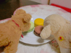 macaron3