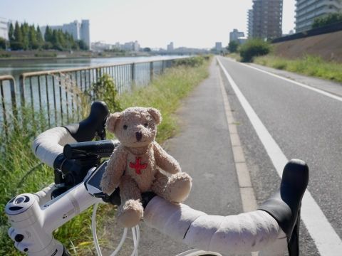100km_161015 (1)