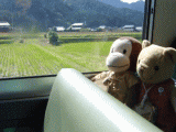 busbus