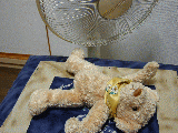 e7932099.gif