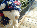 bridge