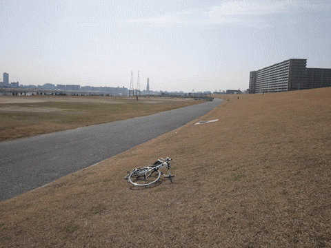 naniwa5