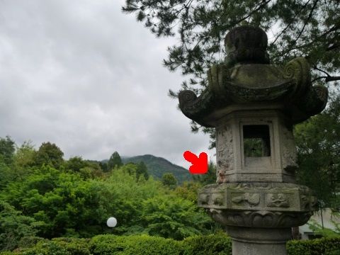 kyoto3