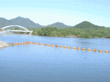 f0306806.gif