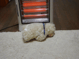 f13060f7.gif