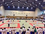 278d2f3c.jpg