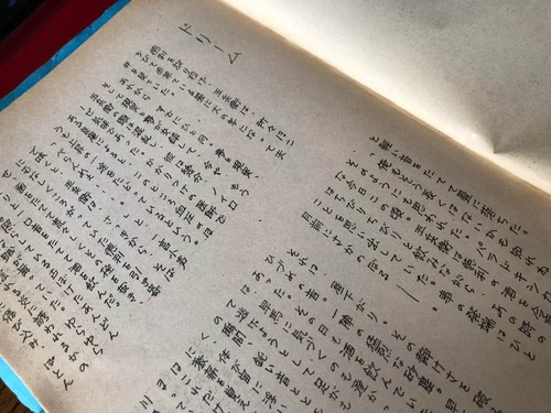 50670701_1258146251028676_1378989775406497792_n