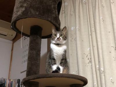 33077962_1033661816810455_2981429961736323072_n