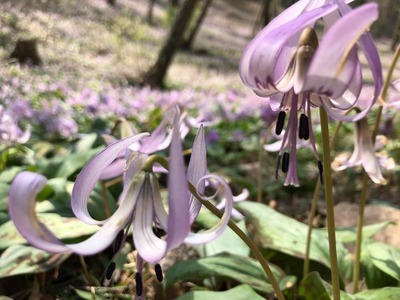 29683094_1004482763061694_8889865512453764811_n