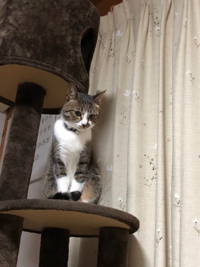 33159110_1033661843477119_4581192403460816896_n