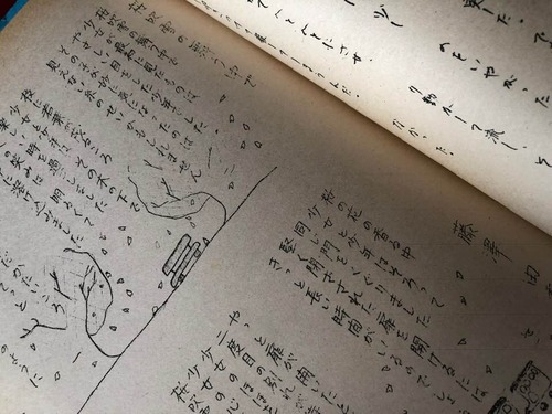 50558575_1258146244362010_3197899581924835328_n