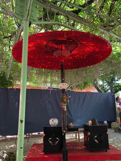 31421491_1020992548077382_6232882189499891712_n