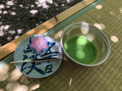 31433071_1020992544744049_8983157067200069632_n