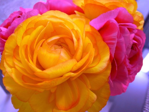 R0020436
