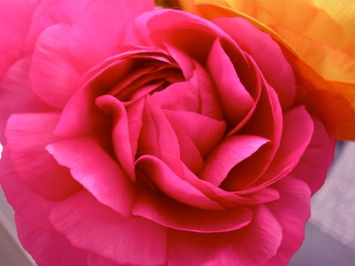 R0020439