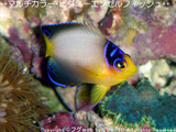 1fc60176.jpg