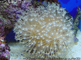 3e28f466.jpg
