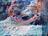 4cff2876.jpg