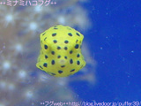 5d30f8bd.jpg