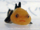 cc3a88bb.jpg