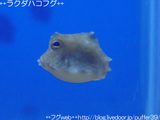 cdd87f54.jpg