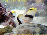 d0aabc04.jpg