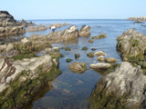 d1ef59d2.jpg