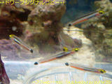 db702790.jpg