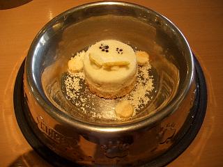 ミミ用チーズケーキ♪