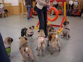 いちご、くだしゃ〜い!!