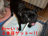 BlogPaint