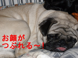 BlogPaint