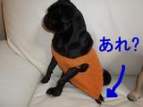 BlogPaint