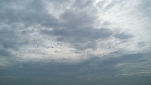 [画像:7f8e77ce-s.jpg]