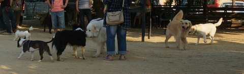 DSC02454 (1)-hodaka
