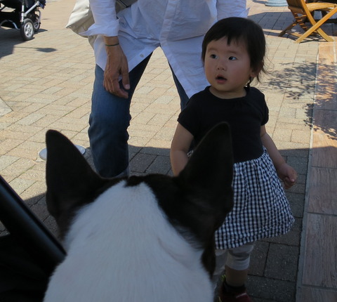 IMG_0316 (1)-pukumayu3
