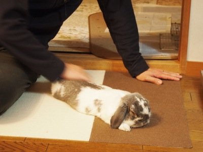 オトコナデ1