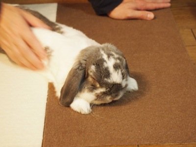 オトコナデ2