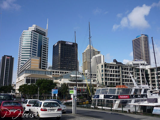 s-1007184 copy